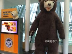 -济州岛泰迪熊博物馆
