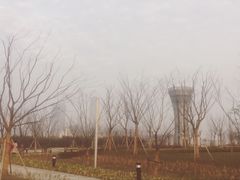 -前滩友城公园-停车场
