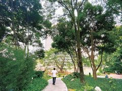 -成都市活水公园