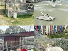 -上海佘山世茂艾美酒店