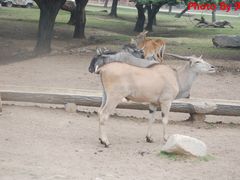 -西安秦岭野生动物园