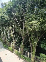 -馨月汇·独栋月子中心(南山店)