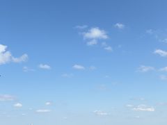 -上海滨江森林公园