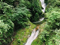 -牛背梁国家森林公园