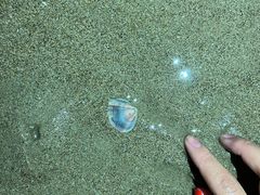-南澳海滩