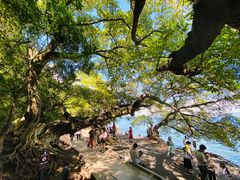 -抚仙湖禄充风景区