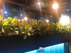 -东椰·海南椰子鸡火锅(朝阳门店)