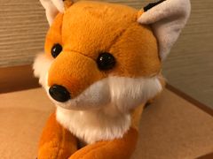 -宫城藏王狐狸村