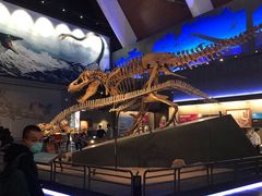 -贝林大翅鲸简餐厅(国家海洋博物馆店)