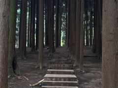 -太阳湾风景区