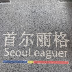 -上海首尔丽格医疗美容医院