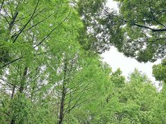 -春暖花开(西溪店)