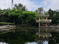 -晓港公园
