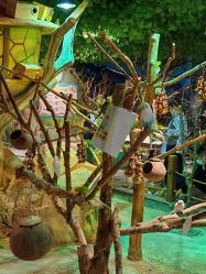 点击看大图 -酷嗒动物文化乐园(cutezoo西溪乐天城店)