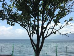 -大理无舍度假酒店