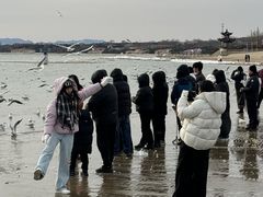 -老虎石海上公园