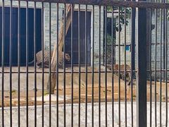 -广东茂名森林公园