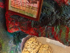 -上海大自然野生昆虫馆