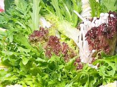 -南门四季铜锅涮肉(左家庄店)