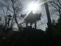 -莲湖公园