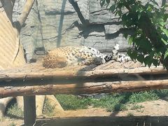 -辛玛王国游乐园