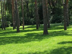 -黑龙江省森林植物园