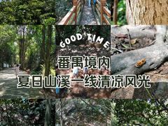 -滴水岩森林公园