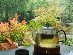 -绿茶餐厅(龙井船宴· 品牌总店)