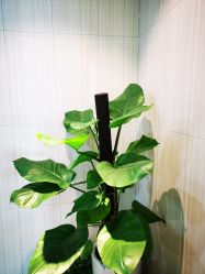 -丽美妍医疗美容·皮秒·立体分层抗衰