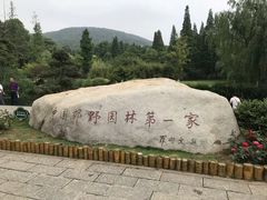 -习家池