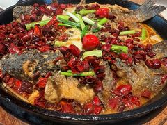 -老板恋上鱼(恒隆广场店)