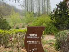 -棒棰岛宾馆景区