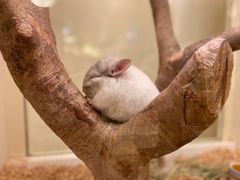 -龙猫仔乐园(惠福东路店)