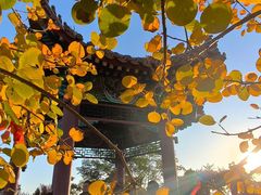 -南翠屏公园