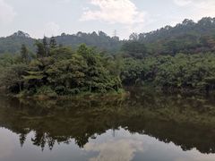 -滴水岩森林公园
