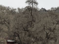 -北山公园