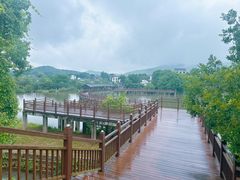 -石塘人家