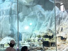 -帝企鹅自助餐厅•儿童岛•真企鹅(长隆企鹅酒店)