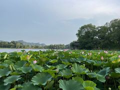 -承德避暑山庄景区