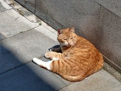 -暹罗酒肆泰餐厅酒吧