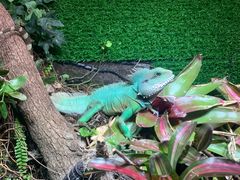 -上海海洋水族馆