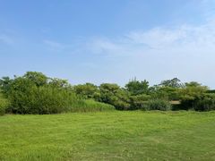 -良渚古城遗址公园