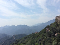 -老北京绿豆饼(解放路店)