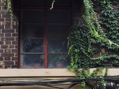 -溧阳路经典老洋房