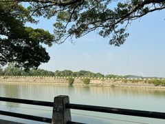 -大湾区中央湿地公园