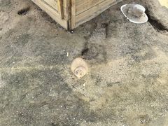 -祥源·阜阳生态乐园