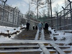 -横道河子东北虎林园