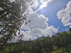 -武陵山森林公园