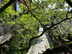 -巴倒烫陆派重庆火锅(南山店)