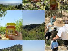 -敬亭山风景名胜区